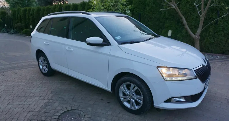 skoda fabia Skoda Fabia cena 29800 przebieg: 190000, rok produkcji 2019 z Grodków